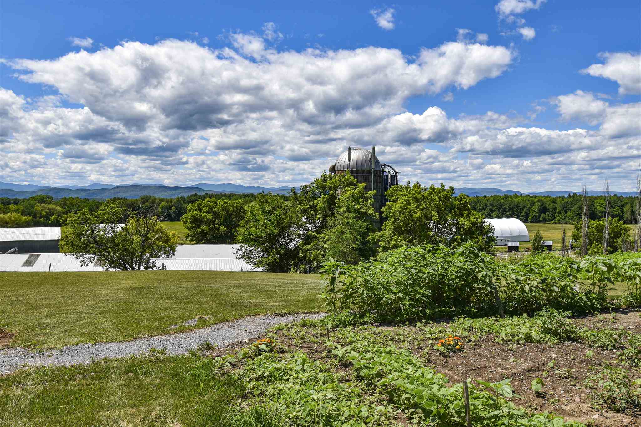619 Dakin Road Ferrisburgh, VT 05456 - Photo 5 of 24 Gallery Image 5