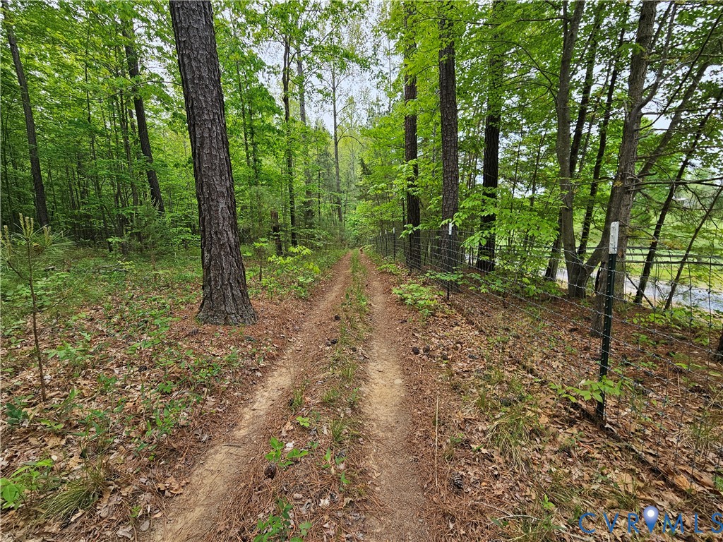 981 Scotts Bottom Road Dillwyn, VA 23936 - Photo 48 of 73 Gallery Image 48