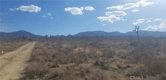 $25,000 | 0 Vac/175 Ste/vic Fort, Llano, CA 93544