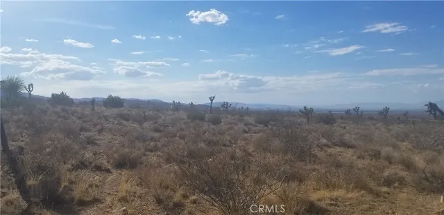 $25,000 | 0 Vac/175 Ste/vic Fort, Llano, CA 93544