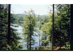 26 South South Pond Road Eden, VT 05653 - Photo 1 of 1