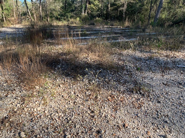 24780 Green Forest Drive Splendora, TX 77372 - Photo 15 of 19