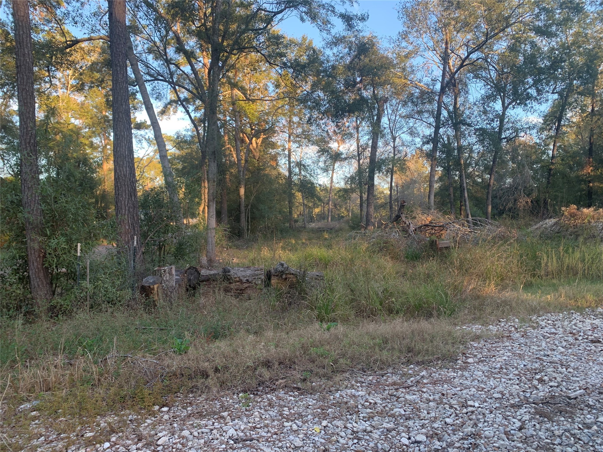 24780 Green Forest Drive Splendora, TX 77372 - Photo 19 of 19 This view is from driveway looking toward the width of the lot.