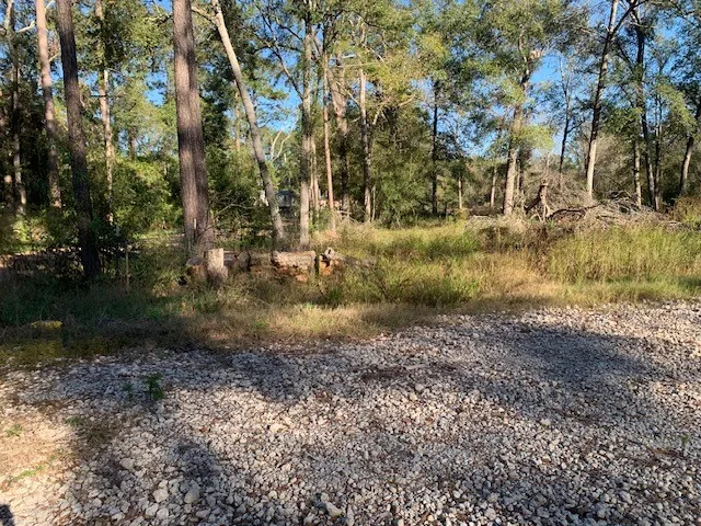 $60,000 | 24780 Green Forest Drive, Splendora, TX 77372