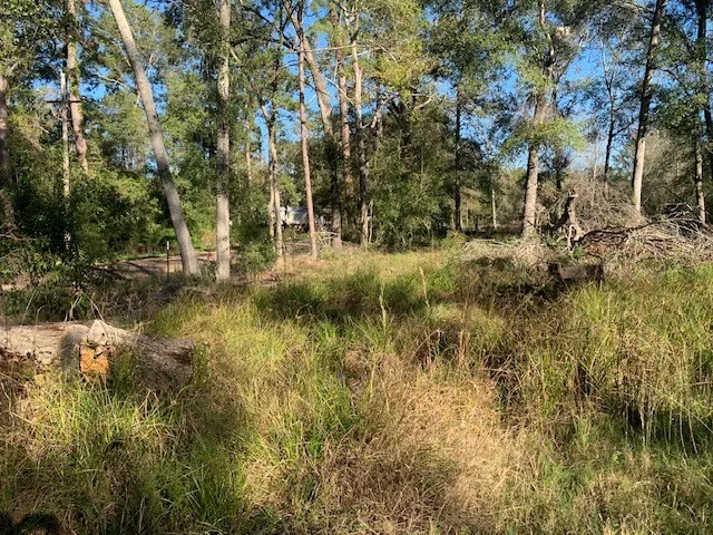 $60,000 | 24780 Green Forest Drive, Splendora, TX 77372