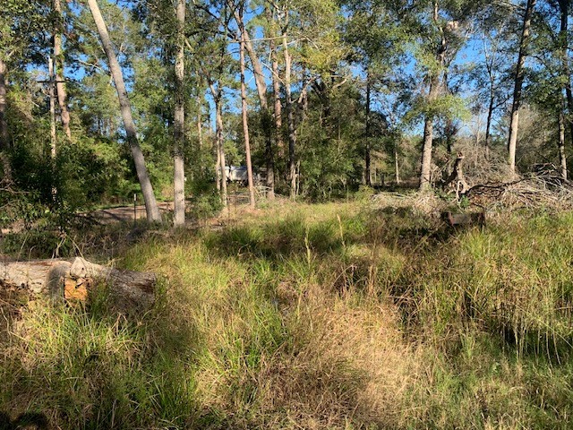 24780 Green Forest Drive Splendora, TX 77372 - Photo 10 of 19