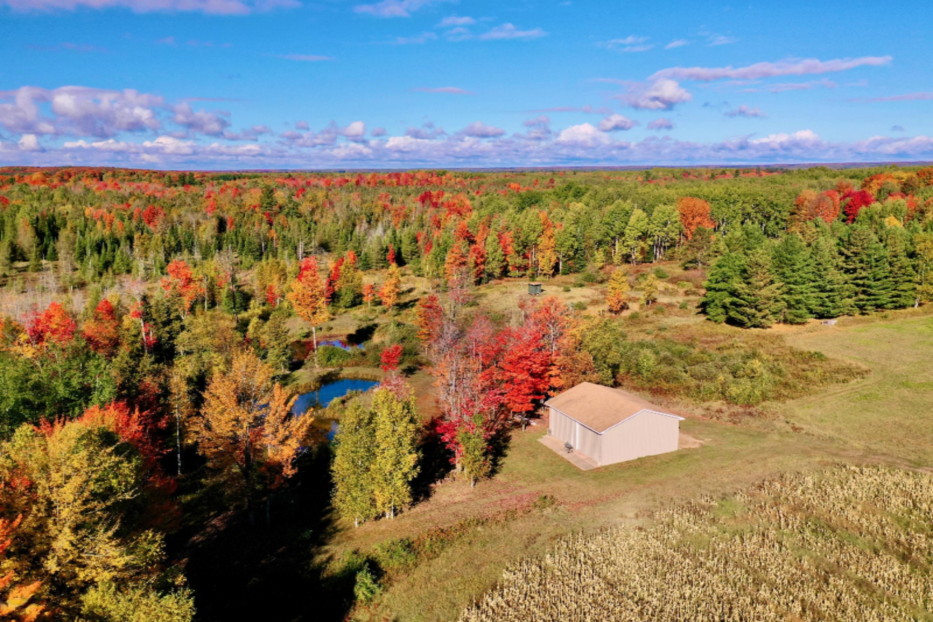 6257 North 31 Road Manton, MI 49663 - Photo 14 of 51 DJI_0113