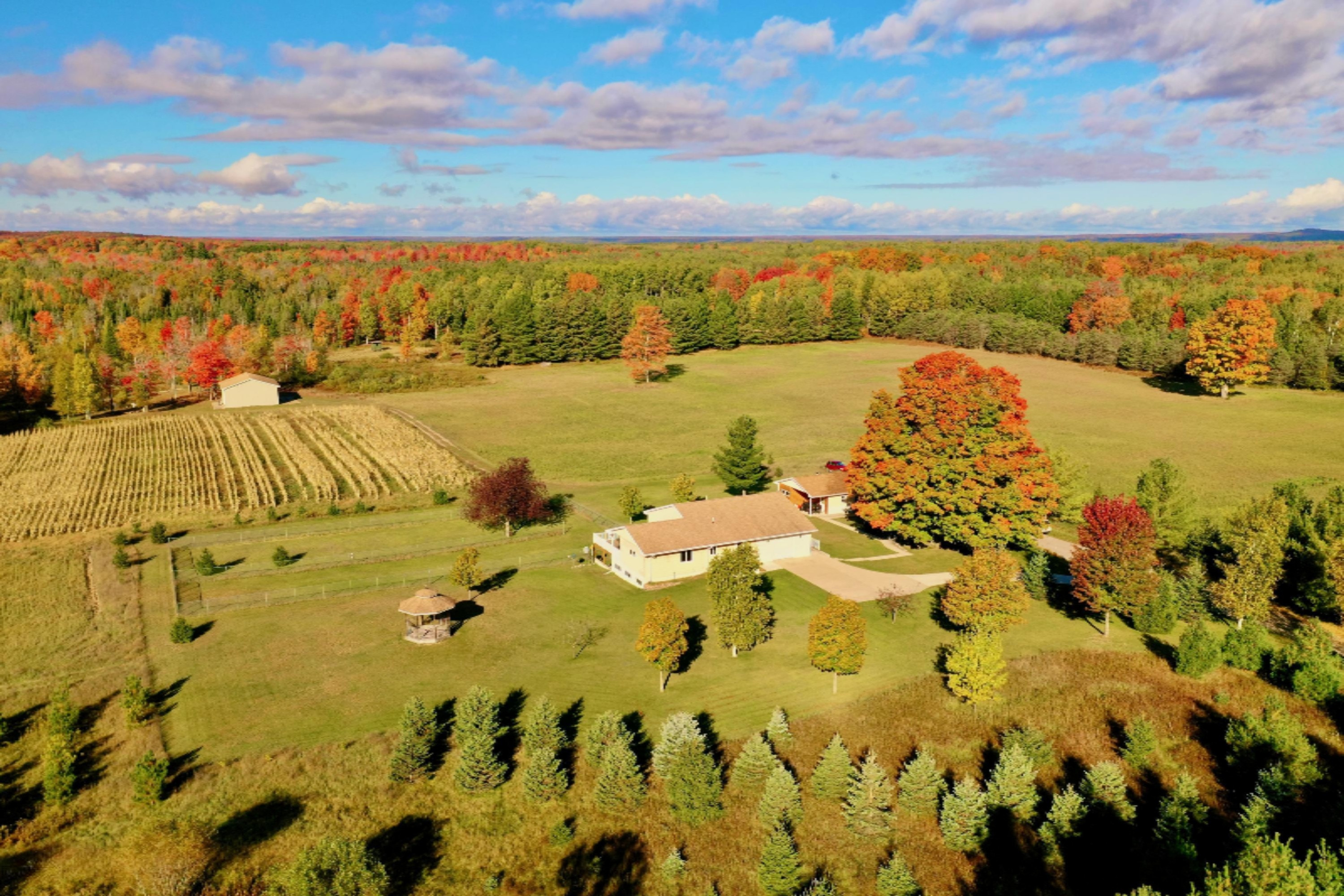 6257 North 31 Road Manton, MI 49663 - Photo 18 of 51 DJI_0094