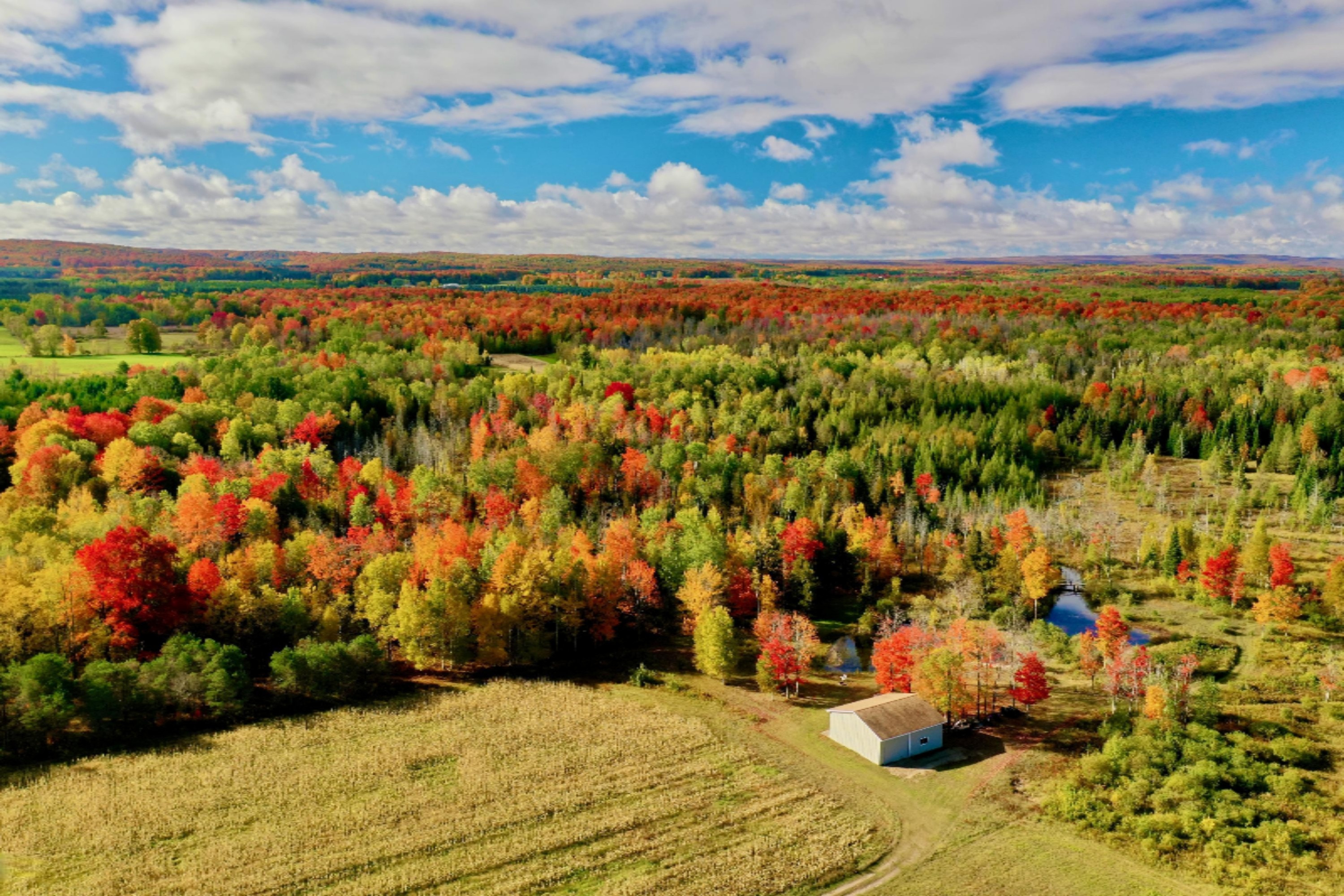 6257 North 31 Road Manton, MI 49663 - Photo 23 of 51 DJI_0127