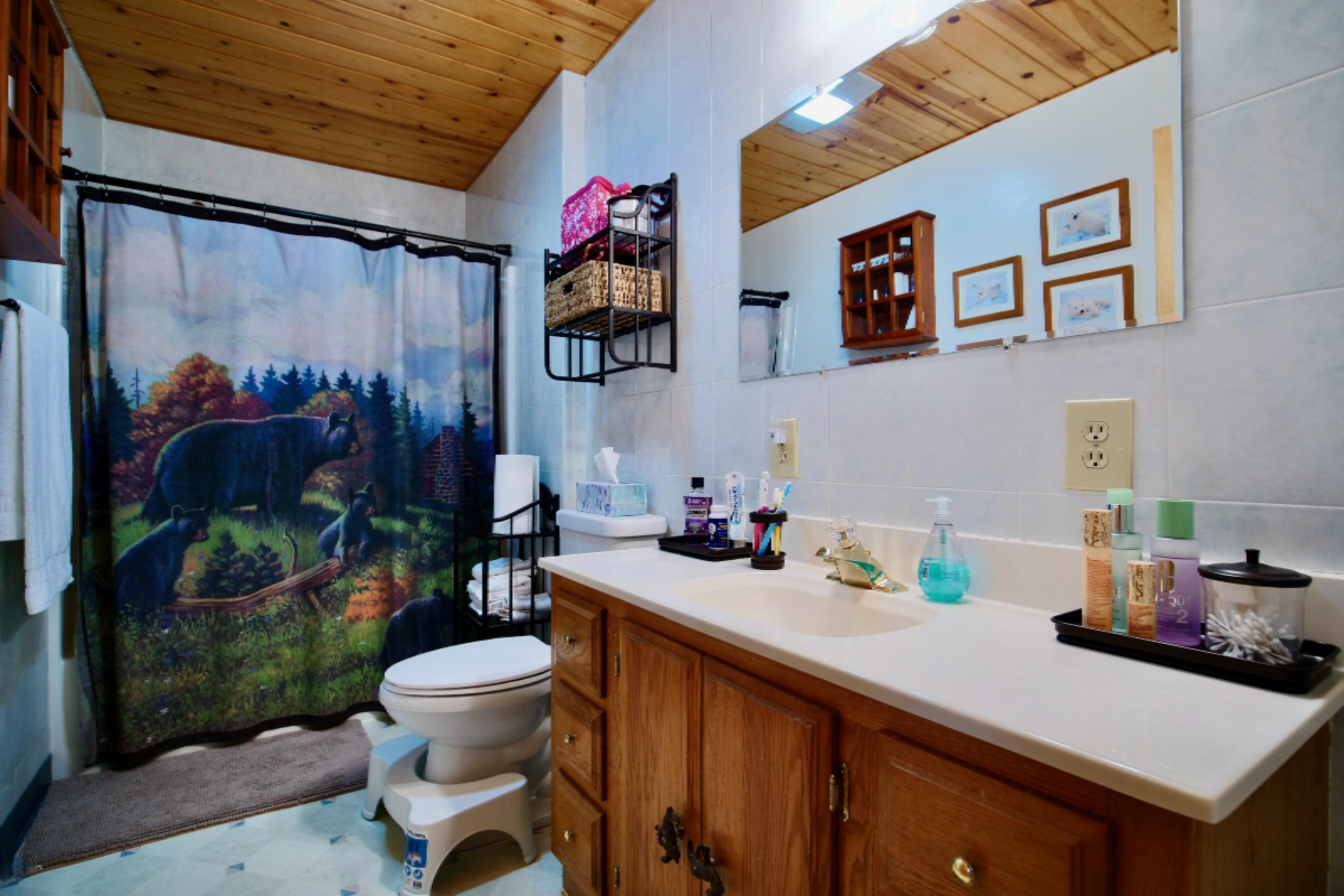 6257 North 31 Road Manton, MI 49663 - Photo 42 of 51 P1311562