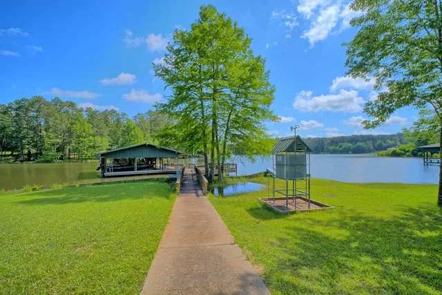 a view of a garden with an outdoor space