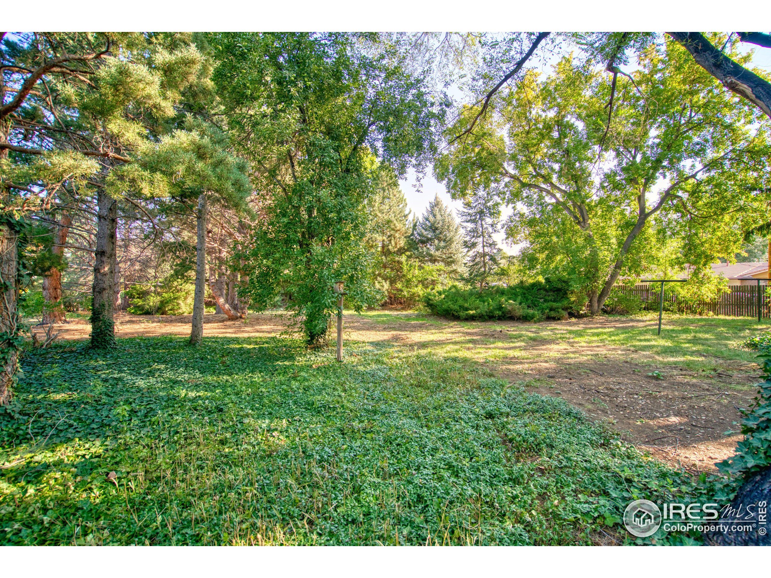 5511 Pioneer Road Boulder, CO 80301 - Photo 7 of 28 a view of yard with trees