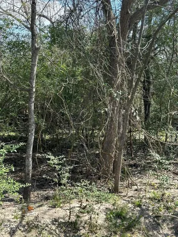 $259,000 | 0 Mustang Loop, Madisonville, TX 77864