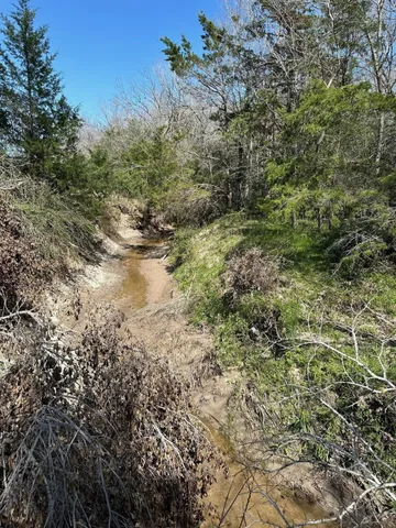 $259,000 | 0 Mustang Loop, Madisonville, TX 77864