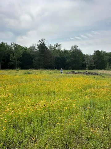 $259,000 | 0 Mustang Loop, Madisonville, TX 77864