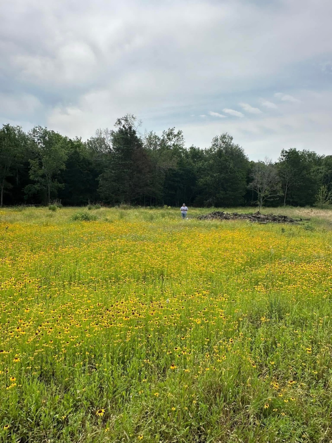 0 Mustang Loop Madisonville, TX 77864 - Photo 7 of 7 a view of an ocean from a yard