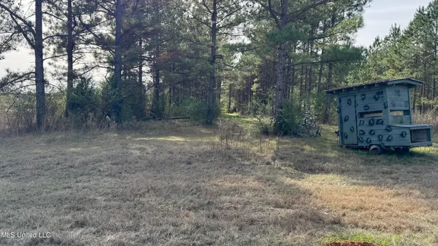 $164,500 | 1 Norris-Homewood Road, Lake, MS 39092