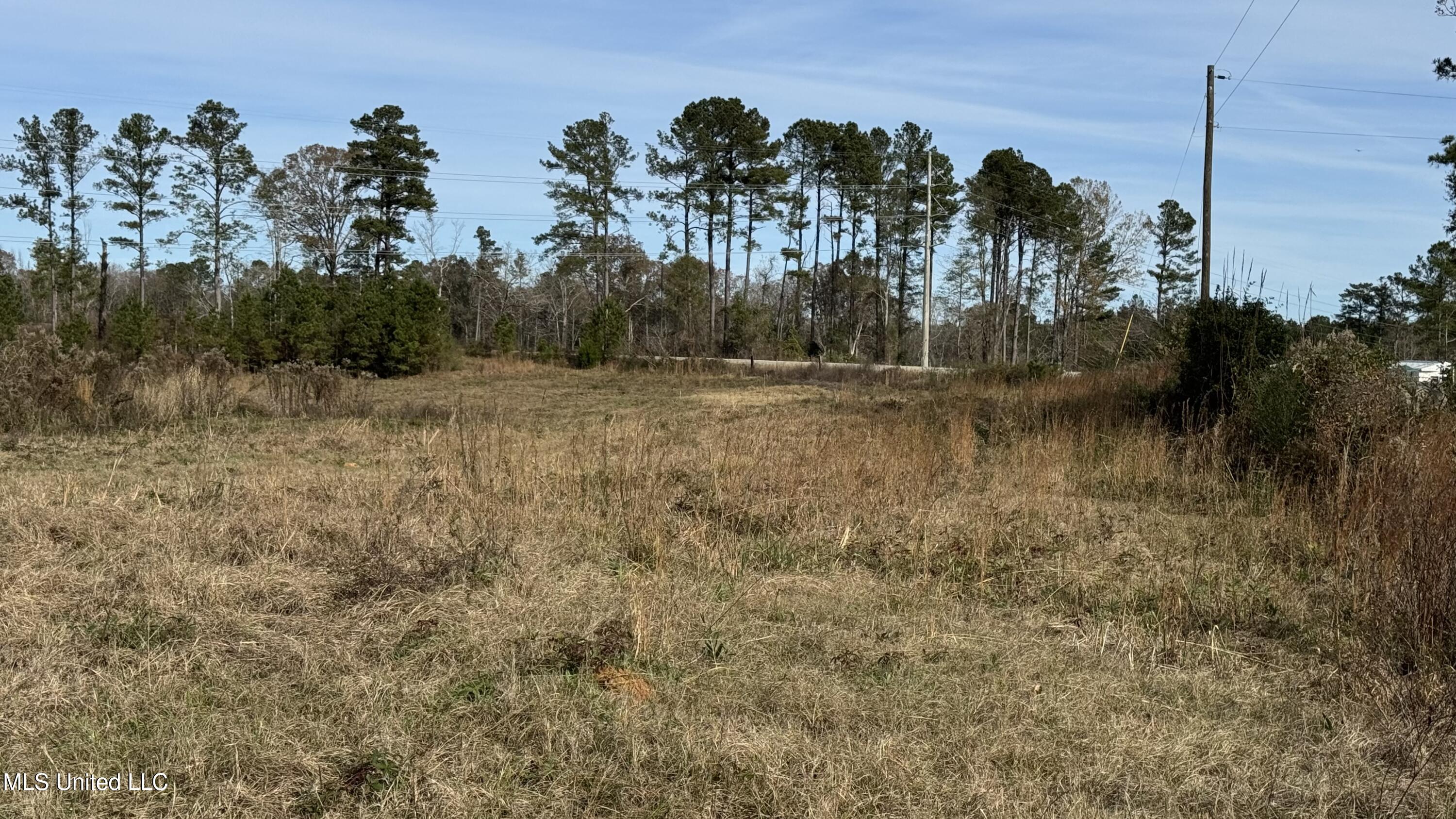 1 Norris-Homewood Road Lake, MS 39092 - Photo 6 of 6 IMG_4261 (1)