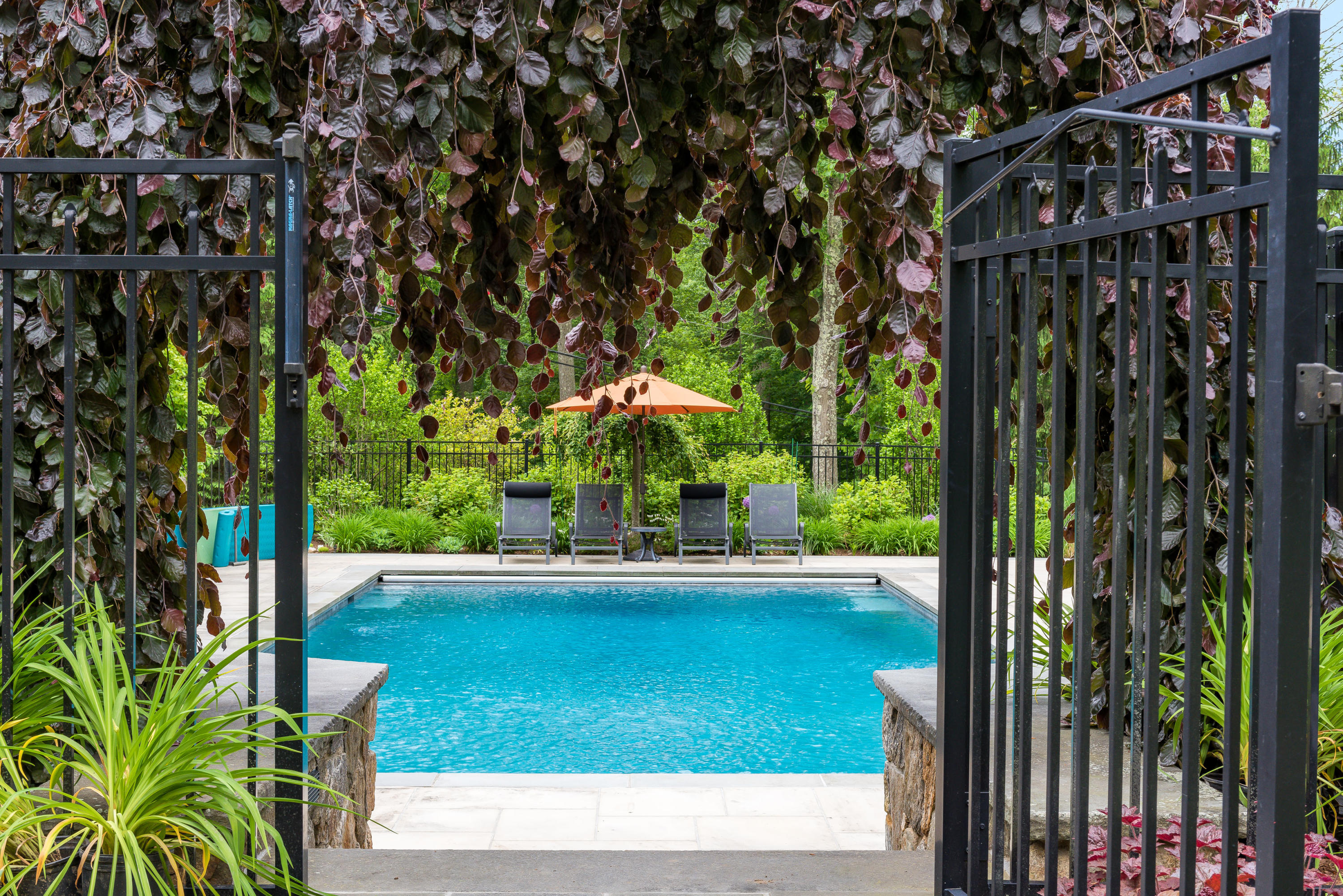 281 Turtle Back Road New Canaan, CT 06840 - Photo 35 of 39 Pool