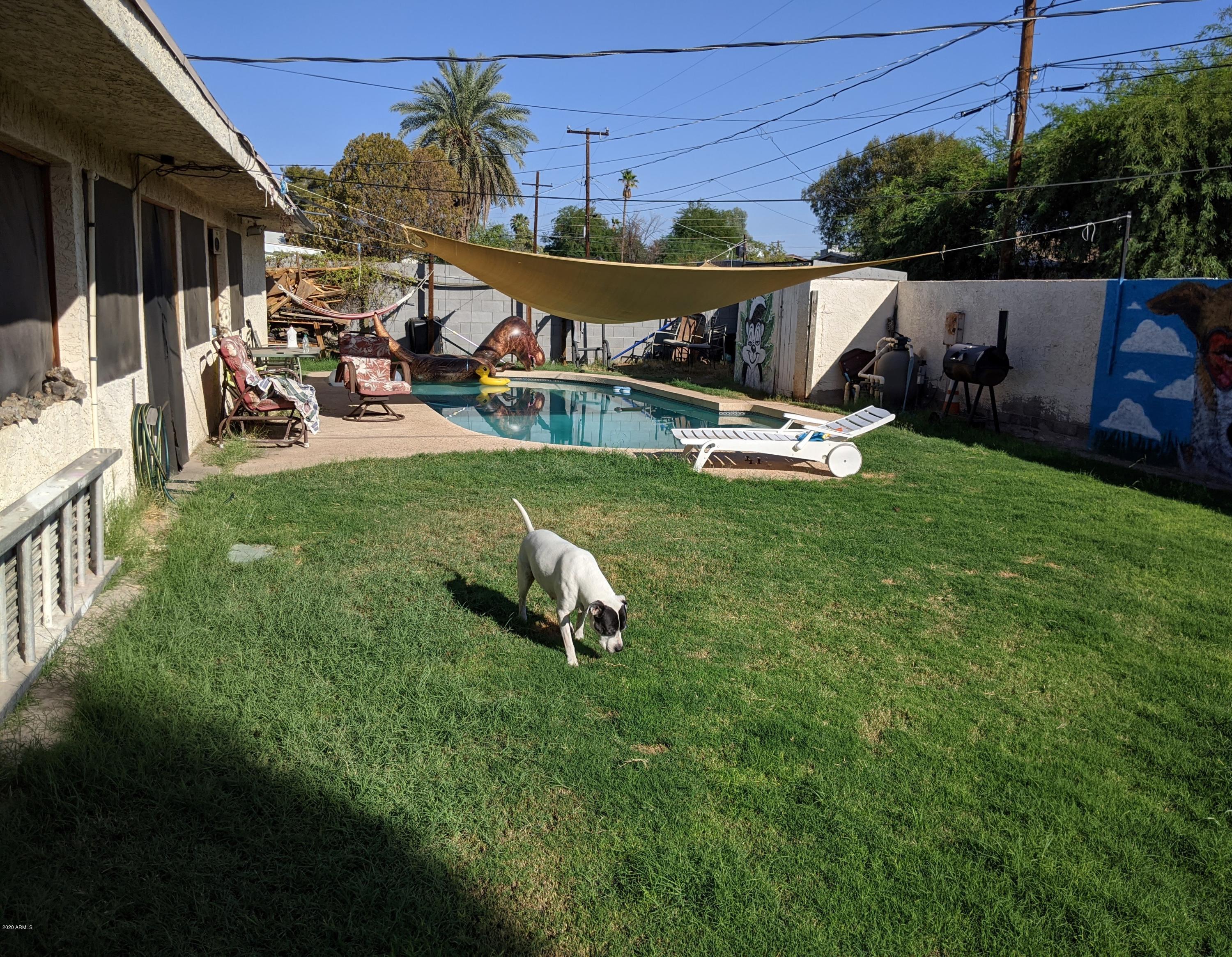 1023 West Elna Rae Street Tempe, AZ 85281 - Photo 3 of 12 Yard 2