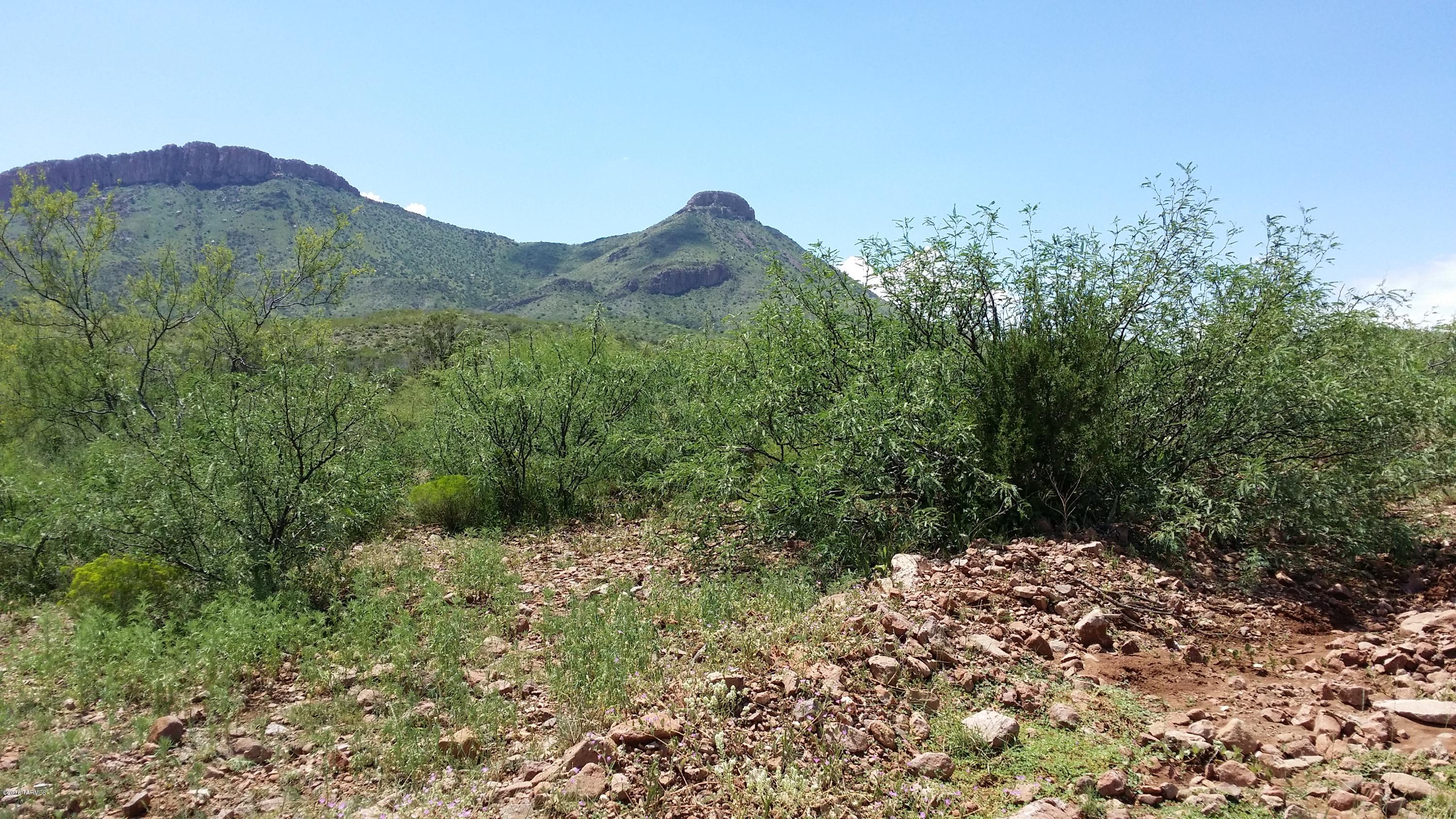 27.084-ac North Silver Creek Road Douglas, AZ 85607 - Photo 11 of 21