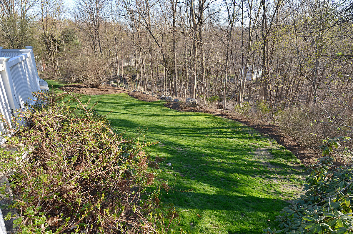 112 Brushy Ridge Road New Canaan, CT 06840 - Photo 42 of 45 a green field with lots of bushes