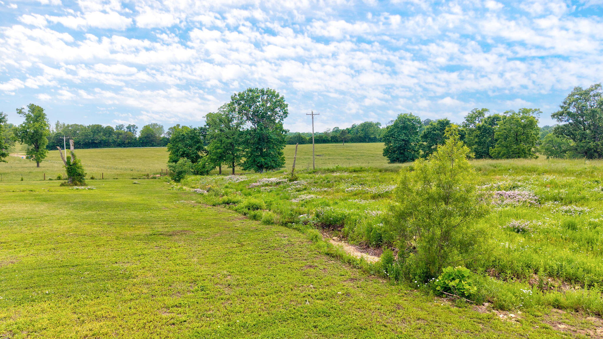323 Lace Loop Conway, MO 65632 - Photo 53 of 54 323 Lace Loop-10
