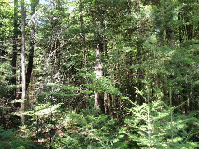 On McPeak Road Conover, WI 54519 - Photo 11 of 18 Gallery Image 11