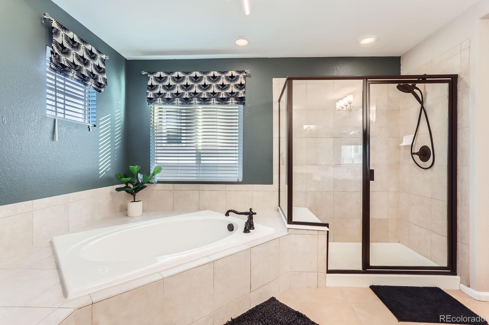 11013 Valleybrook Circle Highlands Ranch, CO 80130 - Photo 21 of 40