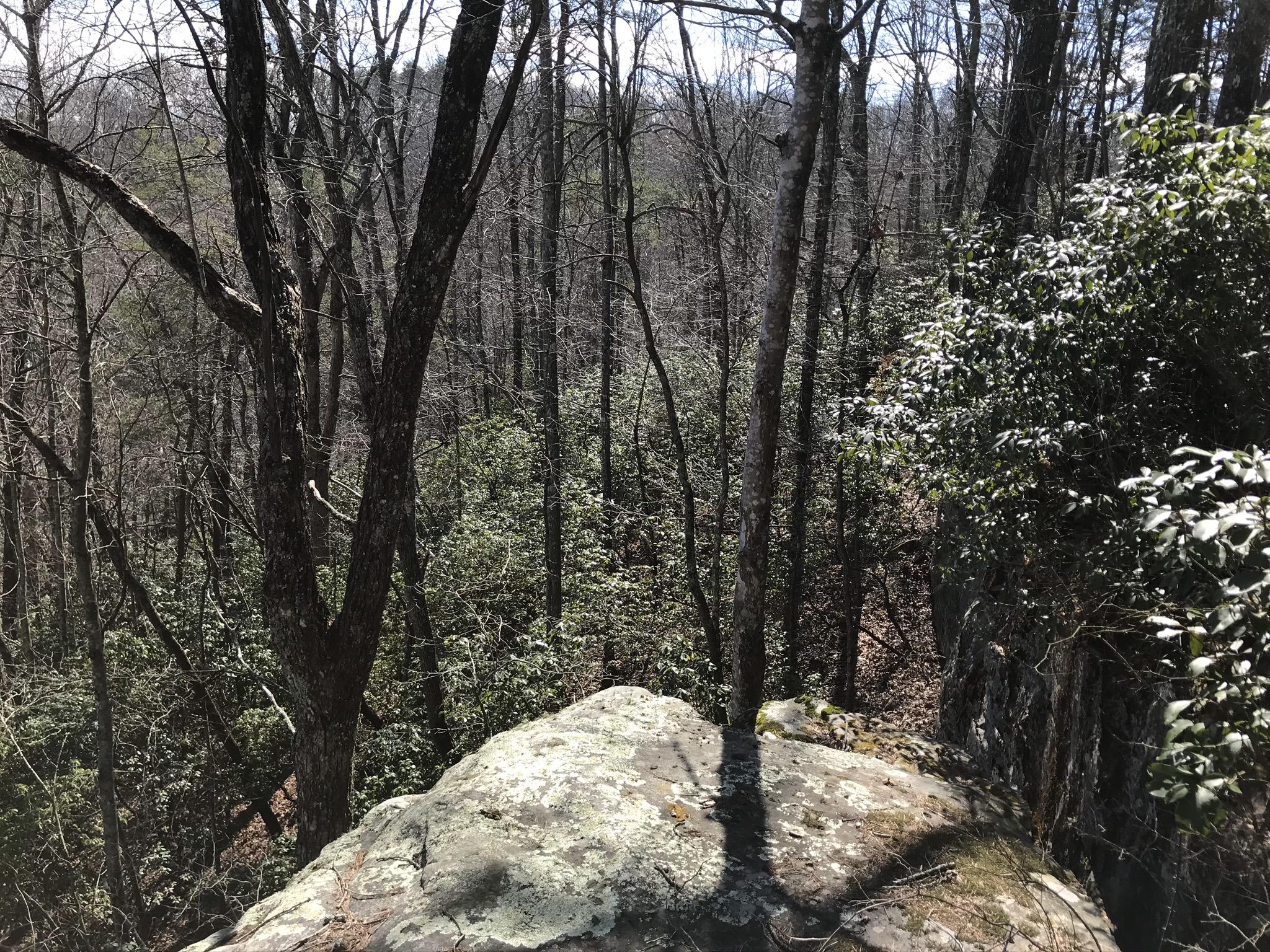 2 Deerhead Road, Unit 2 Dunlap, TN 37327 - Photo 1 of 21 C7DB2C2B-664A-4ED2-9B95-D204C995DBCC