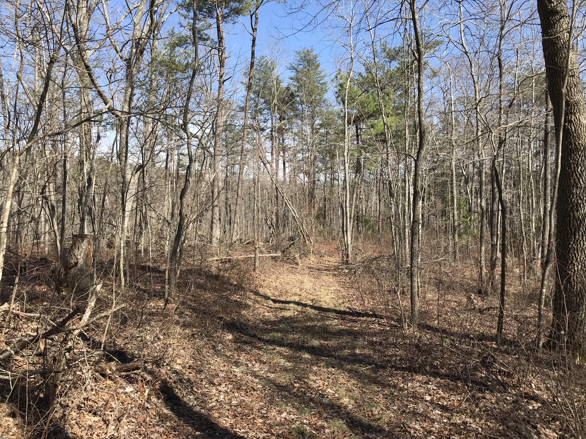 2 Deerhead Road, Unit 2 Dunlap, TN 37327 - Photo 2 of 21 5A4221C2-781F-4DC9-9E1C-AD689D968B1E