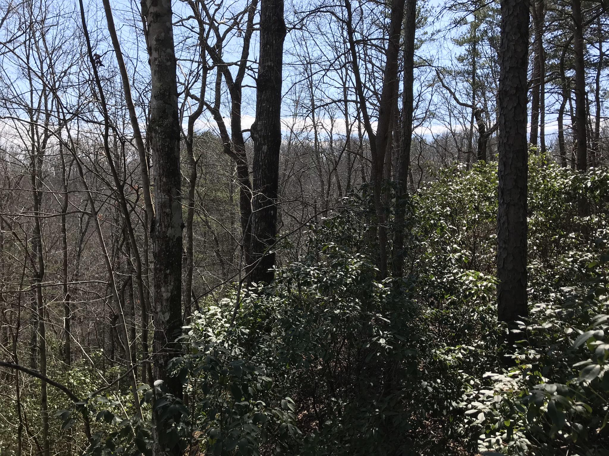2 Deerhead Road, Unit 2 Dunlap, TN 37327 - Photo 12 of 21 E60600DB-E973-4B0F-A29E-458311034931