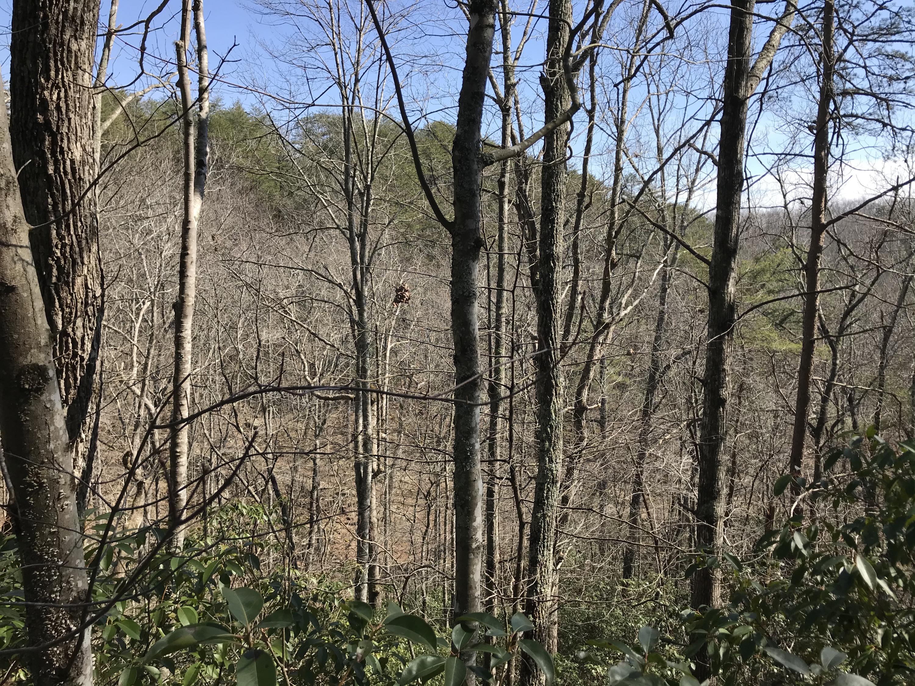 2 Deerhead Road, Unit 2 Dunlap, TN 37327 - Photo 13 of 21 A0EA198F-82D9-4838-8E70-D169C7FCAA70