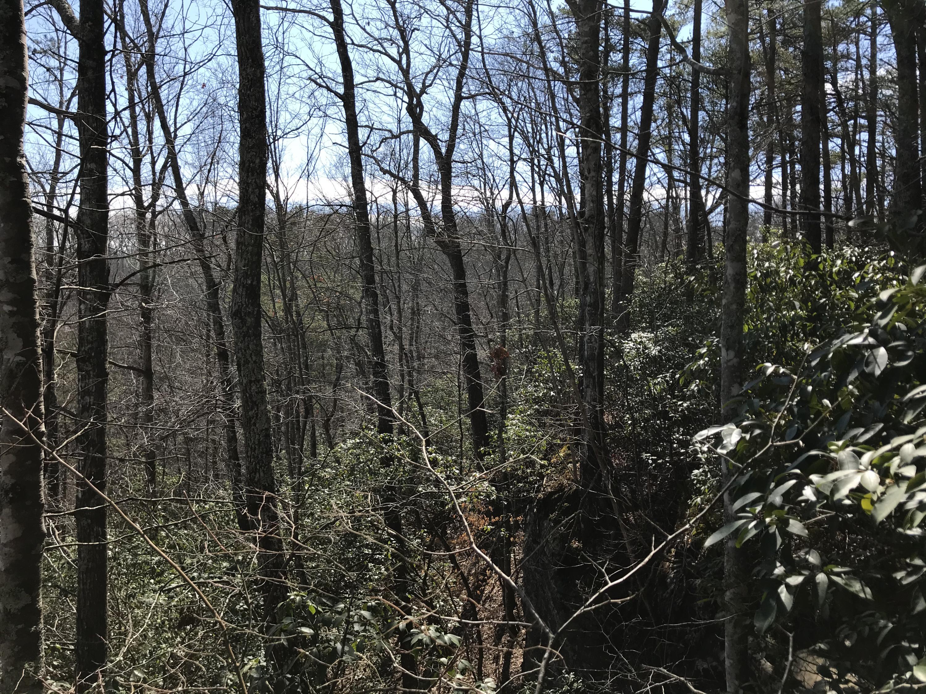 2 Deerhead Road, Unit 2 Dunlap, TN 37327 - Photo 14 of 21 6414BB6A-D3F4-426E-8444-24398DADE1E5
