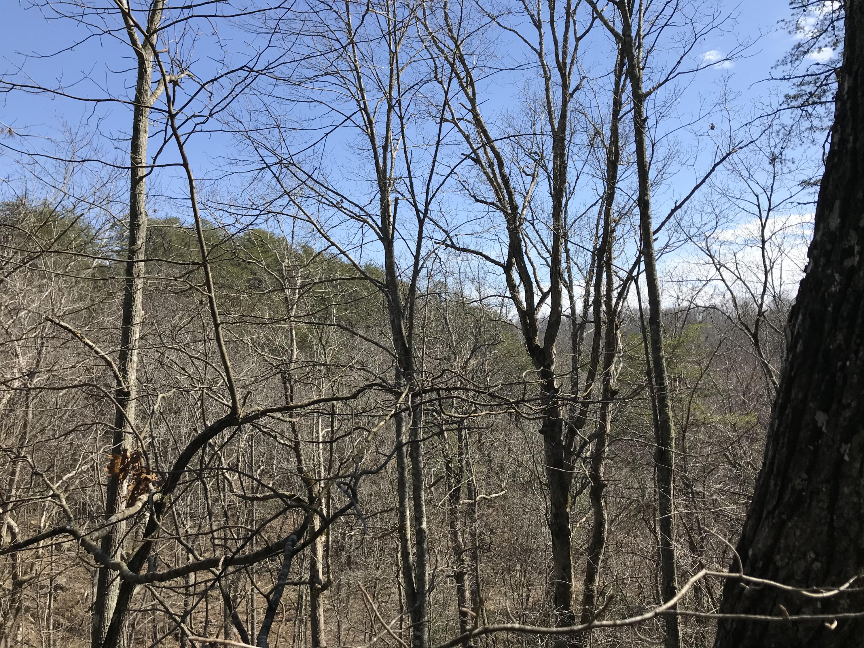 2 Deerhead Road, Unit 2 Dunlap, TN 37327 - Photo 15 of 21 22F52B12-5D6E-406E-AC88-3550B1501561
