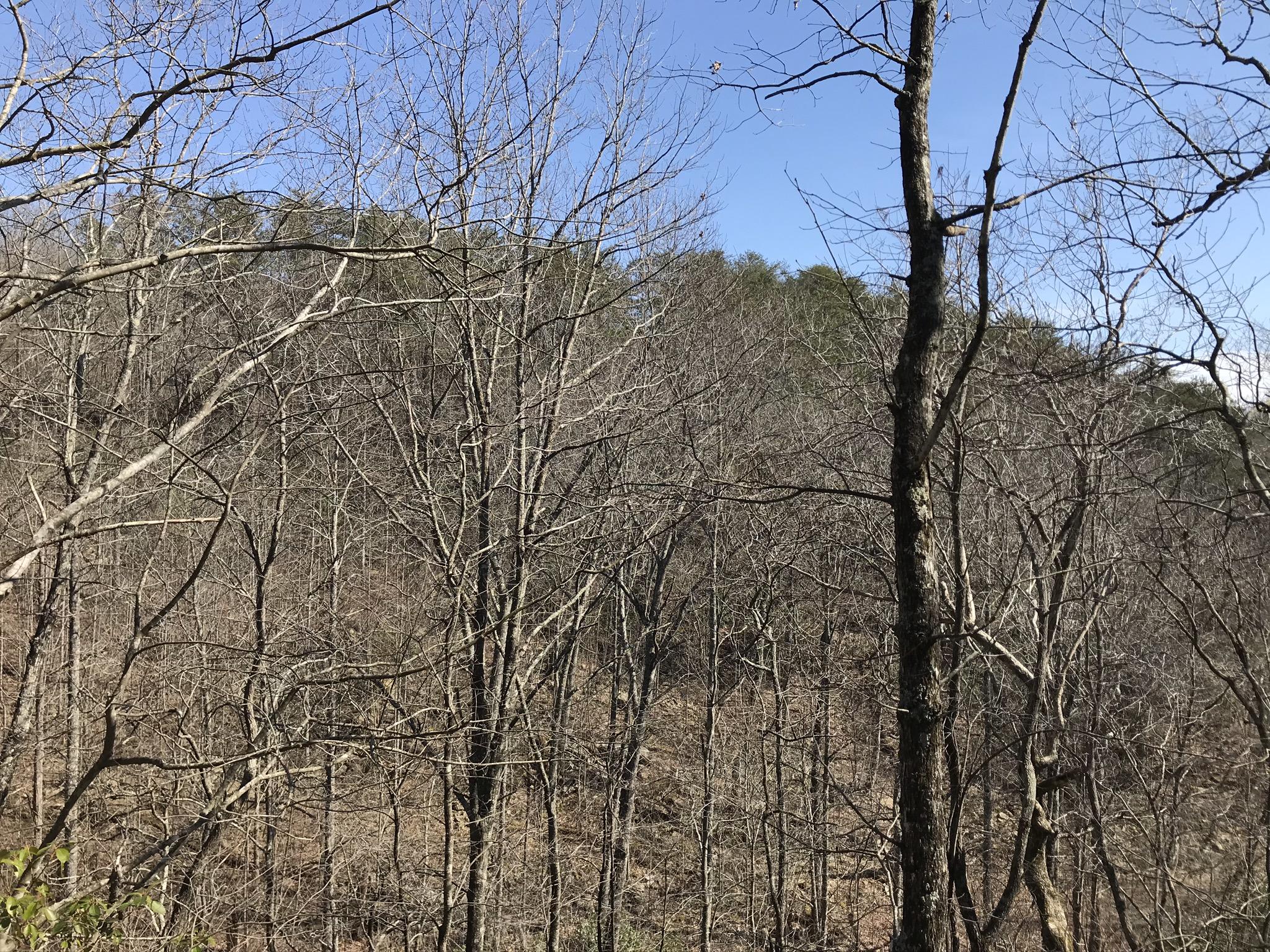 2 Deerhead Road, Unit 2 Dunlap, TN 37327 - Photo 17 of 21 168481AF-7983-4E62-AF20-A2B9ED4AB702