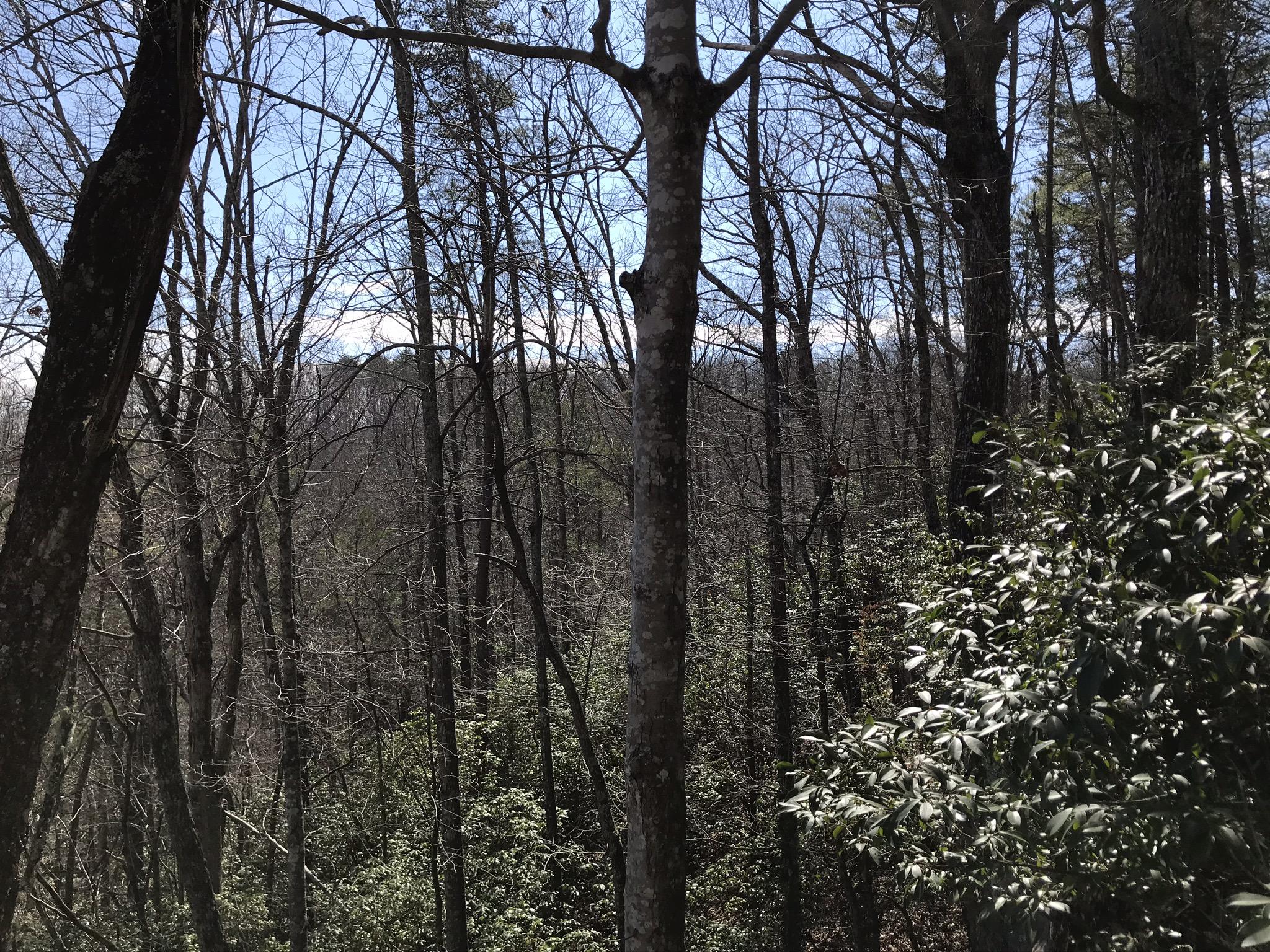 2 Deerhead Road, Unit 2 Dunlap, TN 37327 - Photo 18 of 21 936E1B31-D8DB-455A-8450-1D95ED69246D