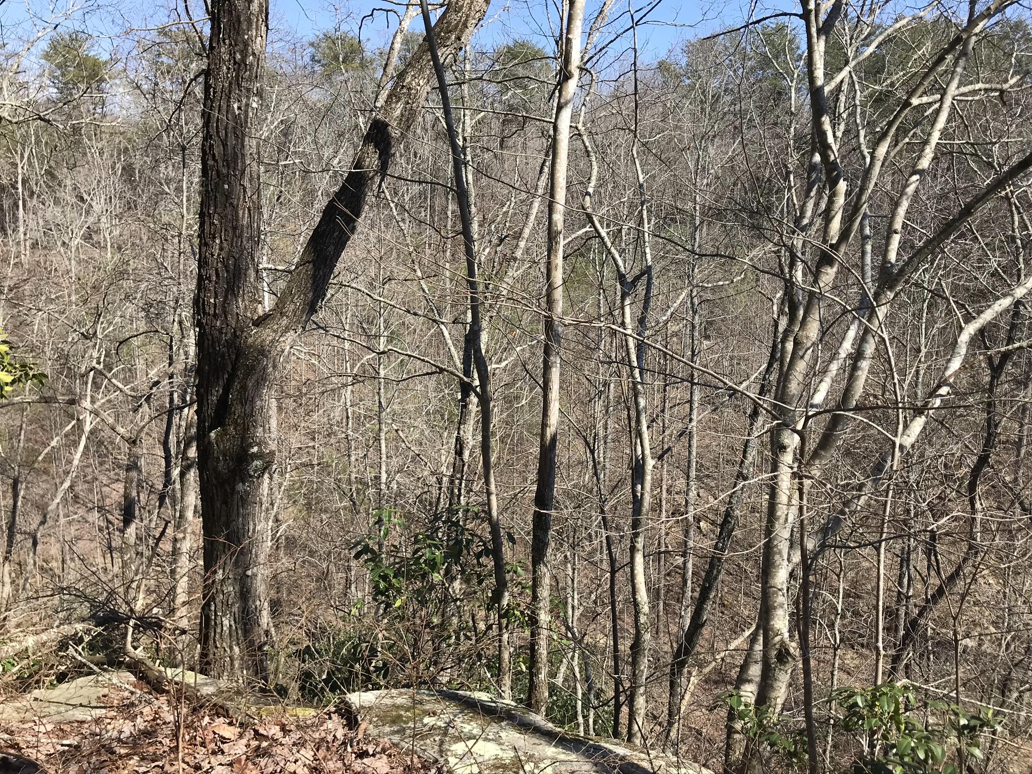 2 Deerhead Road, Unit 2 Dunlap, TN 37327 - Photo 19 of 21 7032A7D7-11D4-4AEB-8935-7FBF5278233F