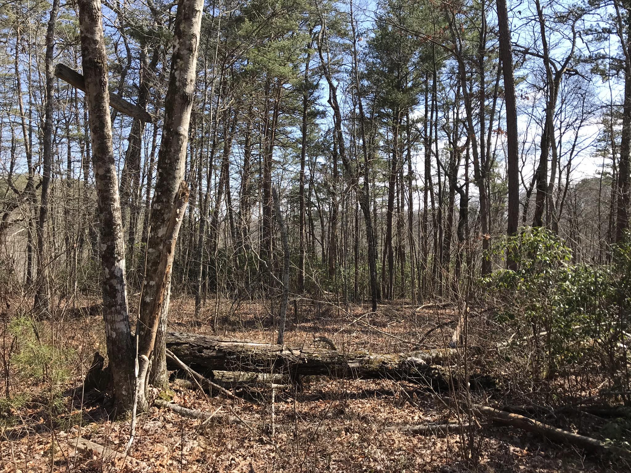 2 Deerhead Road, Unit 2 Dunlap, TN 37327 - Photo 3 of 21 871FE11D-6A3F-469B-83F5-2DF93B656F20
