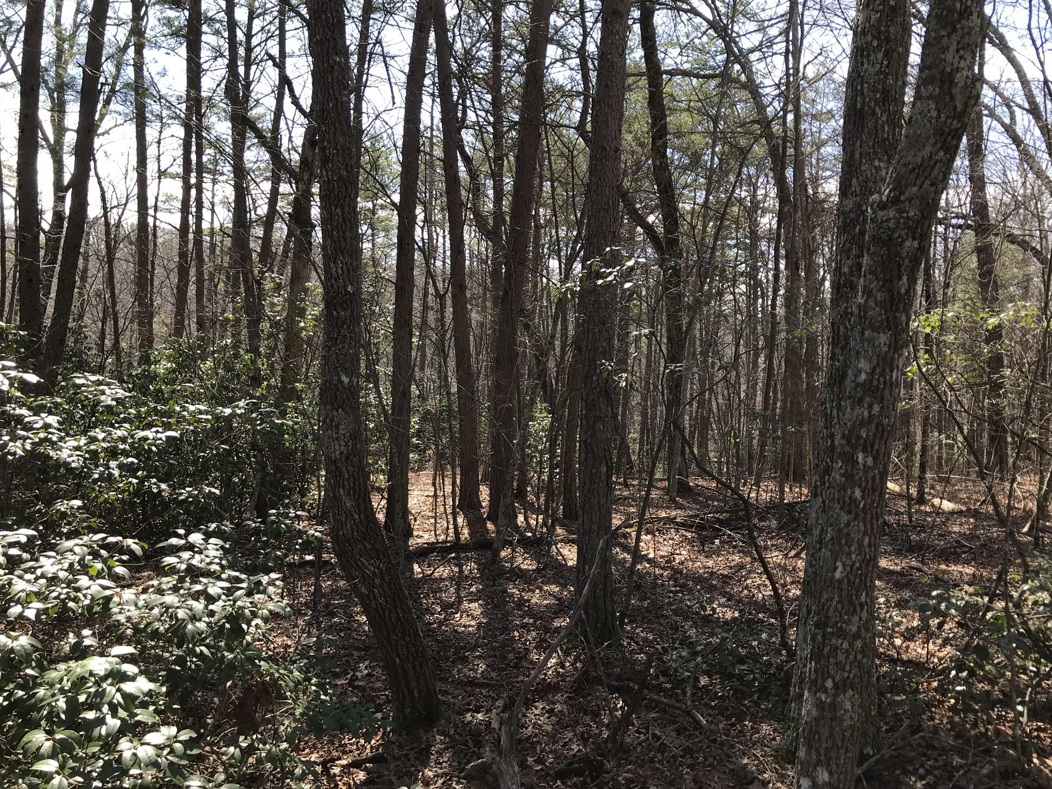 2 Deerhead Road, Unit 2 Dunlap, TN 37327 - Photo 5 of 21 BBDE0B5E-662B-4FBB-8C66-62624D06B467