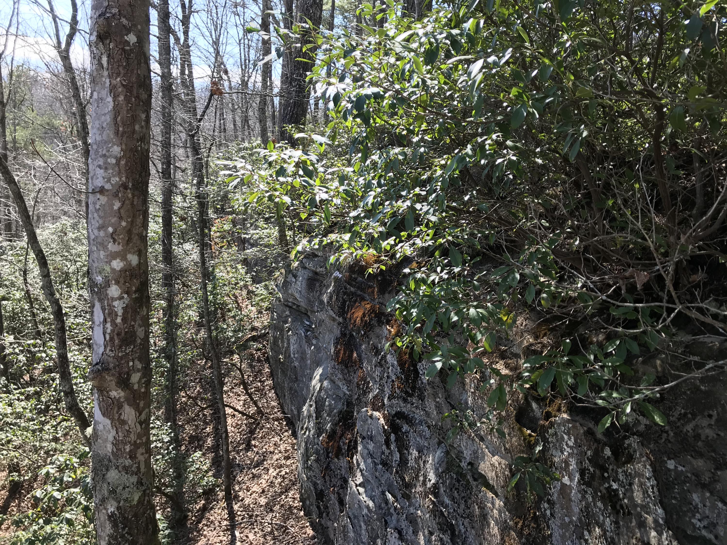 2 Deerhead Road, Unit 2 Dunlap, TN 37327 - Photo 6 of 21 30BF3106-5507-40BD-8B86-DC4CD0616EC7