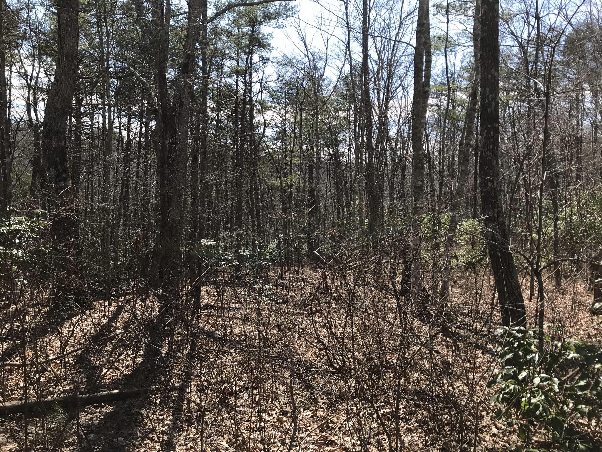 2 Deerhead Road, Unit 2 Dunlap, TN 37327 - Photo 7 of 21 C16160EA-4C85-4D43-A1D9-B5F53C19E3C0
