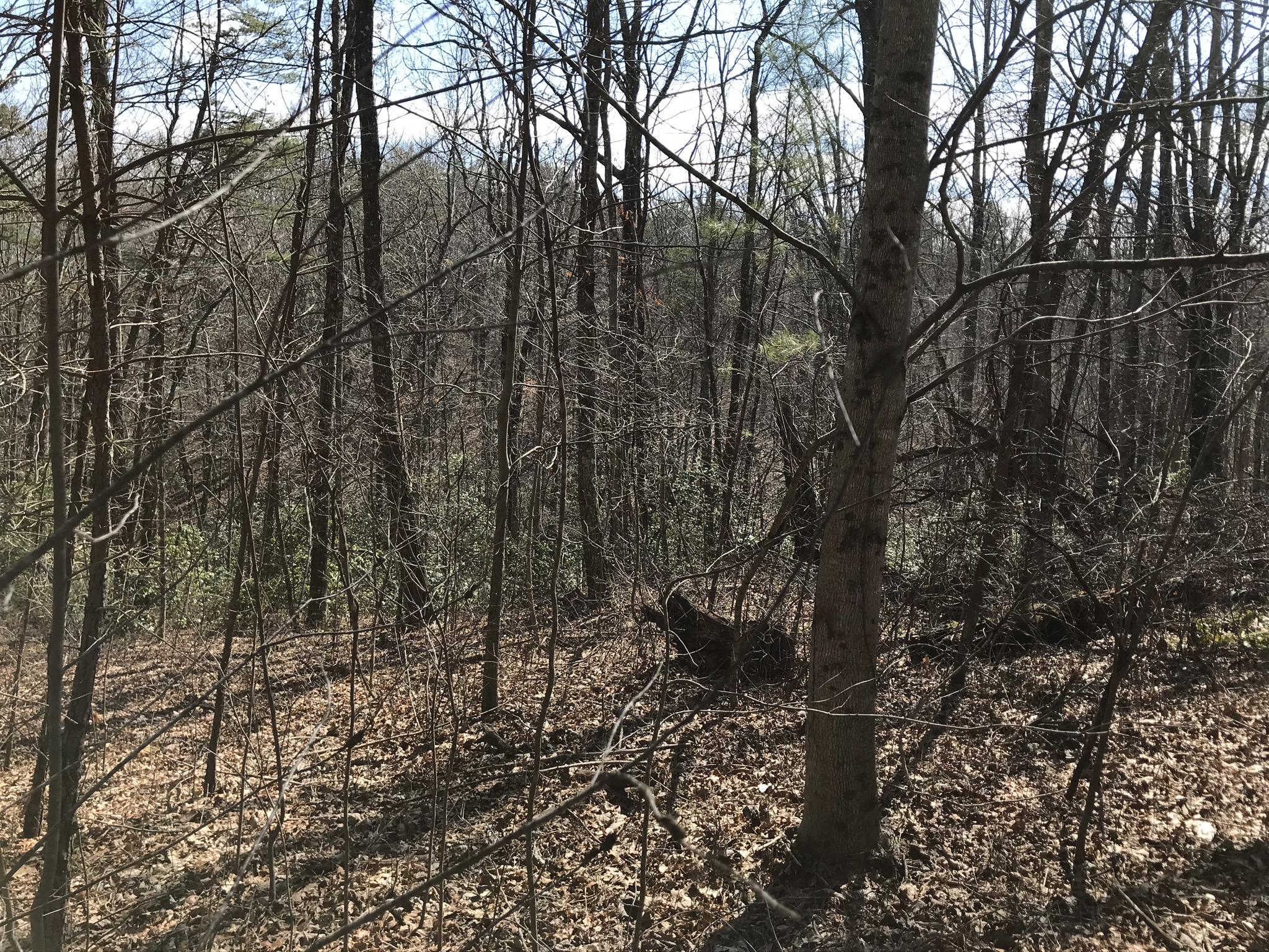 2 Deerhead Road, Unit 2 Dunlap, TN 37327 - Photo 8 of 21 A0C4DA5B-3A7A-48C6-8468-48E51B3A5F51