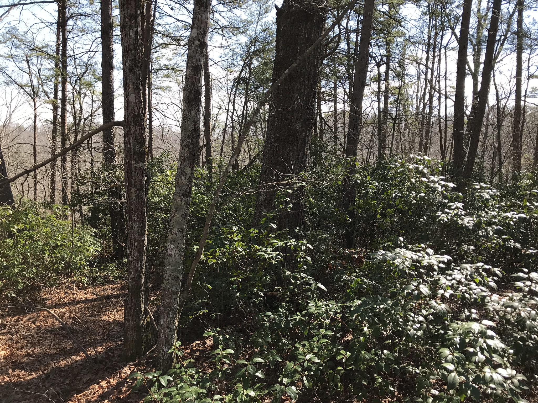 2 Deerhead Road, Unit 2 Dunlap, TN 37327 - Photo 9 of 21 8095F61A-A274-4829-BE9F-ED09B8D0FFE7