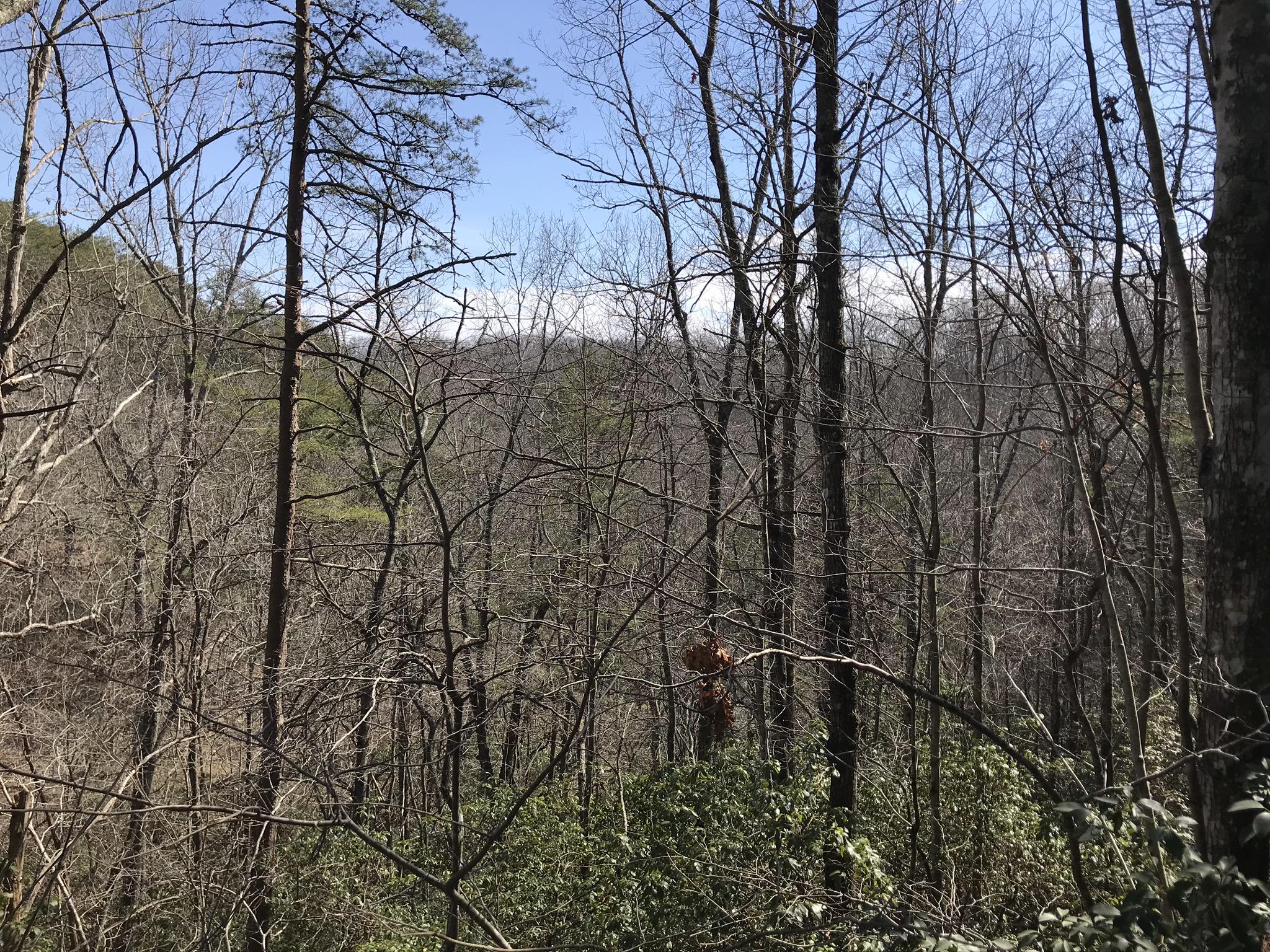 2 Deerhead Road, Unit 2 Dunlap, TN 37327 - Photo 10 of 21 D5DB74BD-C076-4BC3-846B-19132F9B5C0B