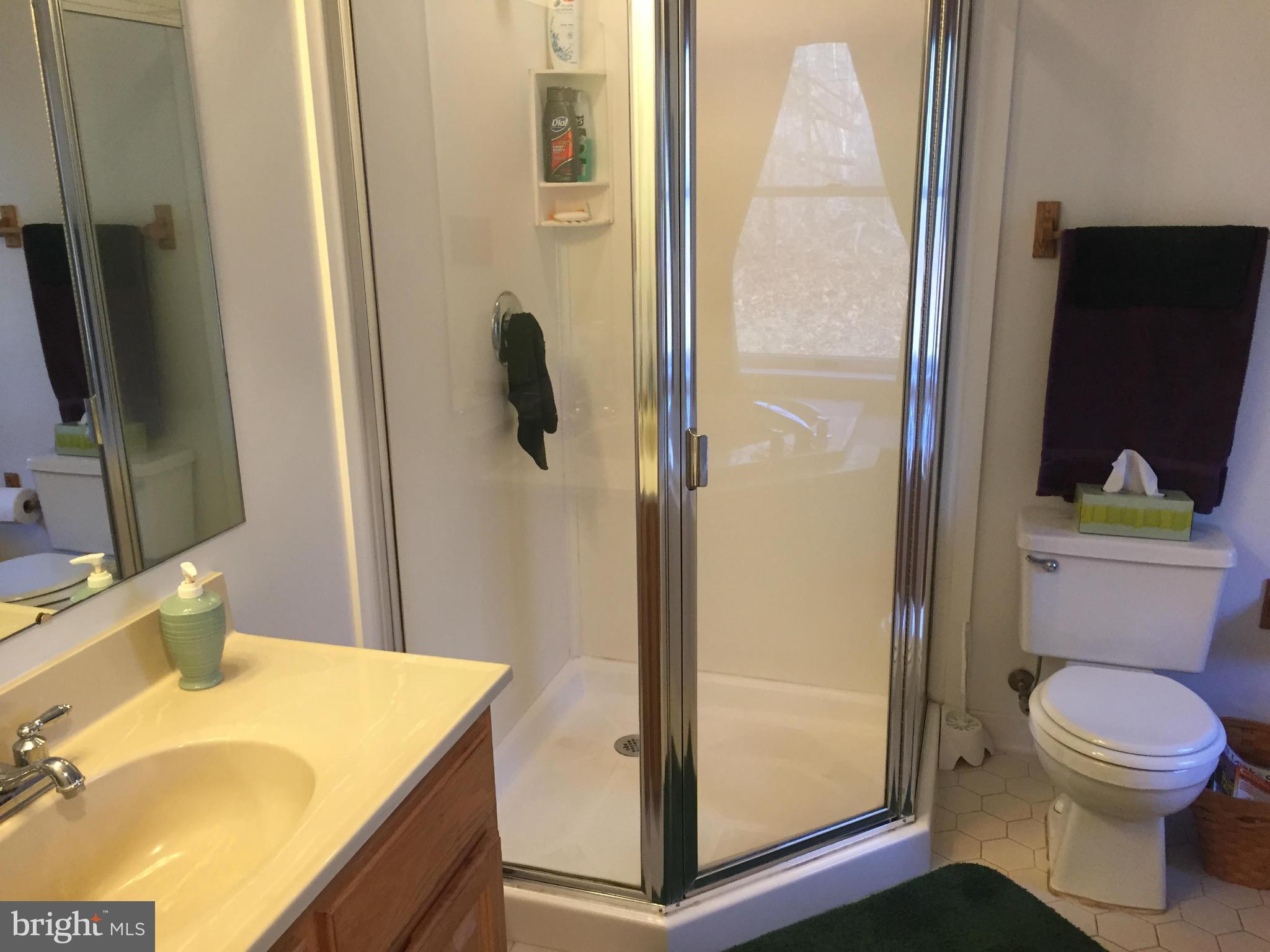 10568 Rixeyville Road Culpeper, VA 22701 - Photo 14 of 30 Bath (Master)