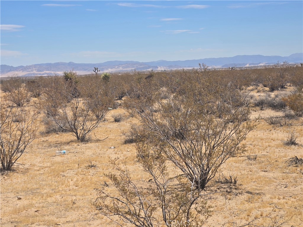 1577 Mc Garry Road Joshua Tree, CA 92252 - Photo 6 of 8