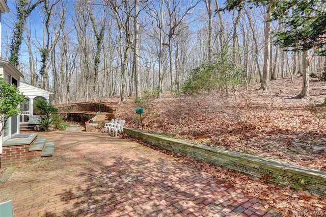 a view of a yard with plants and trees