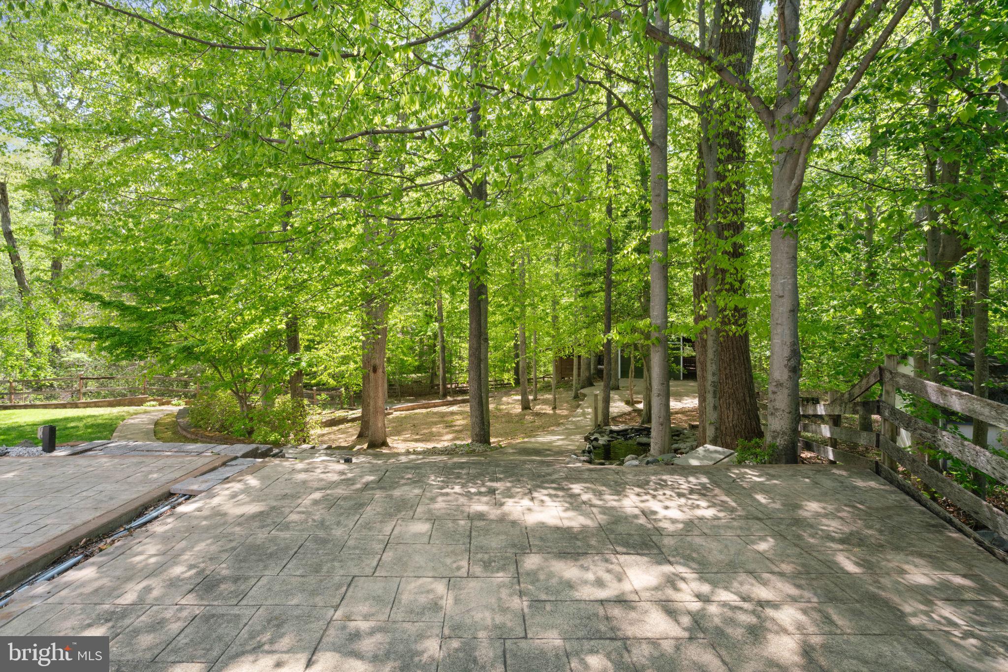 12522 Spring Drive Manassas, VA 20112 - Photo 61 of 69 Serene outdoor retreat among lush trees.