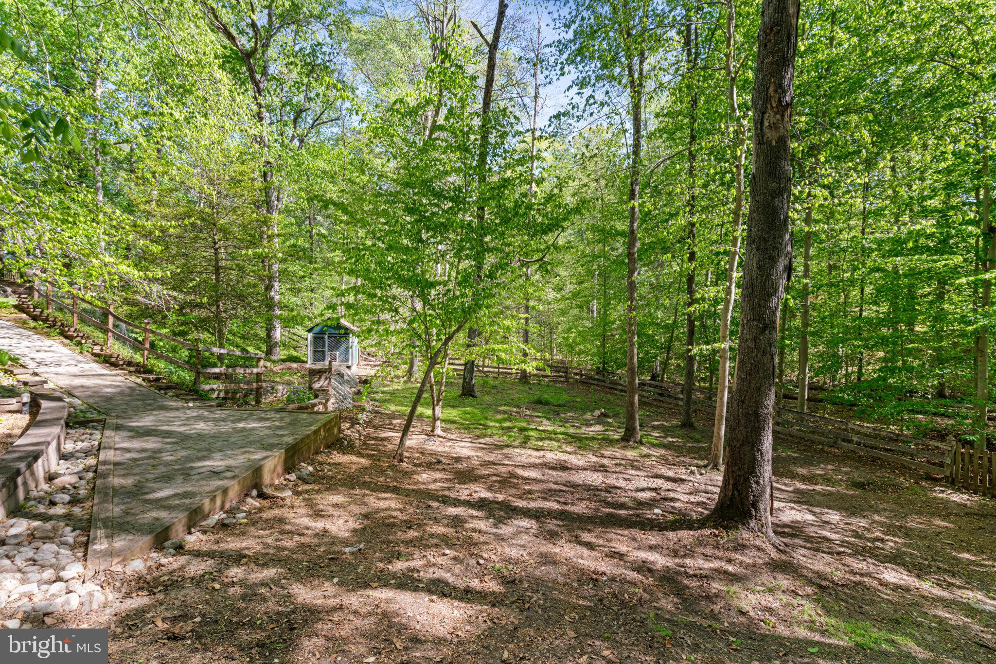 12522 Spring Drive Manassas, VA 20112 - Photo 66 of 69 Serene woodland retreat awaits you.